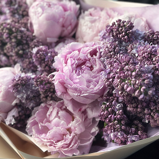 Дуо-букет пионов и сирени L