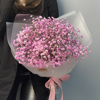 Букет из 5 веточек розовой гипсофилы