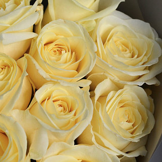 Букет из 25 белых роз 60см (Россия)