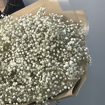 Букет из 11 веточек гипсофилы