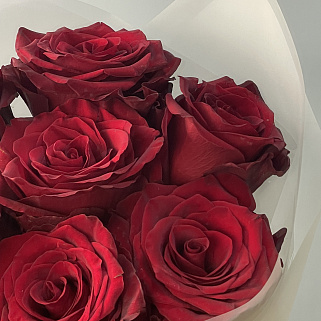 Букет из 7 роз Explorer