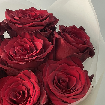 Букет из 7 роз Explorer