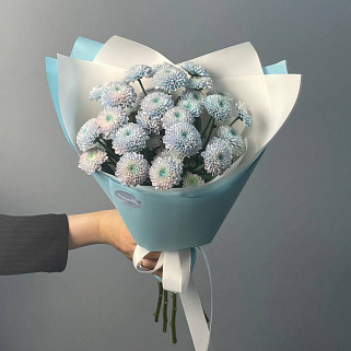 Букет из 5 кустовых хризантем Dusty Mermaid