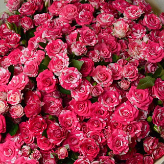 Букет из 51 кустовой розы Fireworks