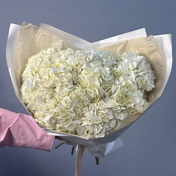 Букет из 11 белых гортензий