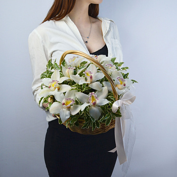 Корзина с орхидеями Комплимент