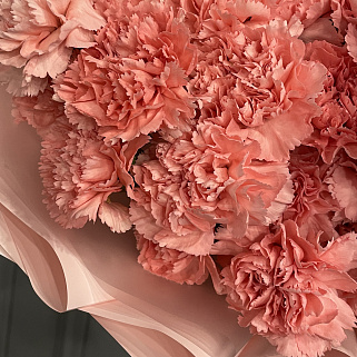 Букет из 25 розовых гвоздик