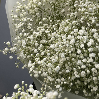 Букет из 9 веточек гипсофилы
