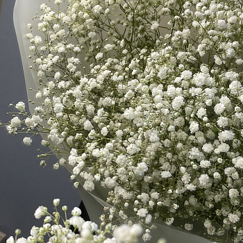 Букет из 9 веточек гипсофилы