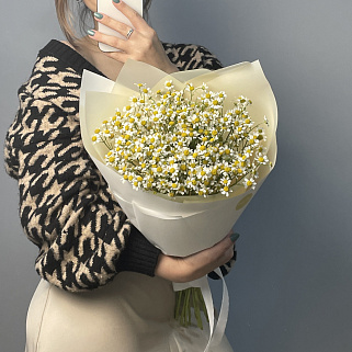 Букет ромашек M