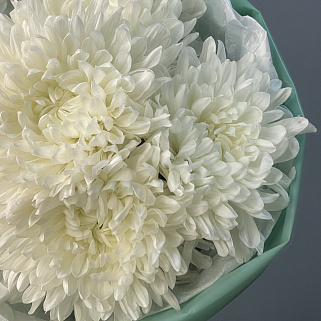 Букет из 5 белых хризантем