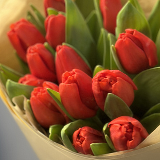 Букет из 15 красных тюльпанов