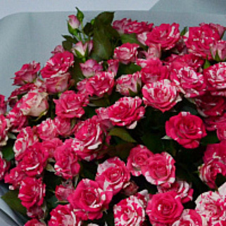 Букет из 25 кустовых роз Fireworks