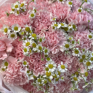 Розовый дуо-букет гвоздик и матрикарий L