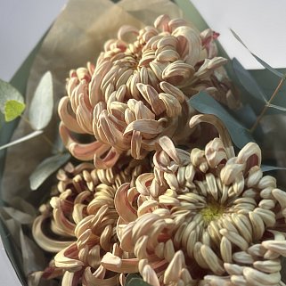 Букет из 3 хризантем Vienna Copper