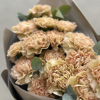 Букет из 15 персиковых гвоздик с эвкалиптом