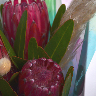 Букет протей