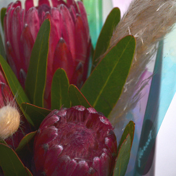 Букет протей