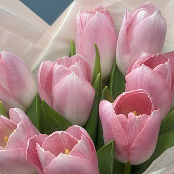 Букет из 9 розовых тюльпанов